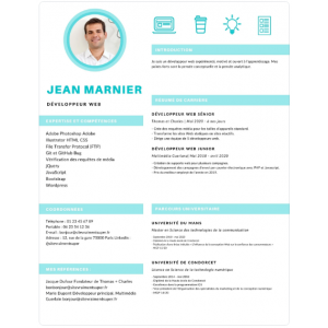 Bleu Icônes Infographique CV rendu final format PDF 