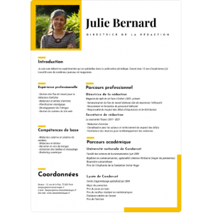 Noir et Jaune Entreprise Journalisme CV RENDU FINAL PDF 