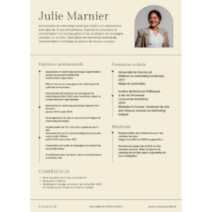 Beige et Marron Monotone Numérique Marketing CV rendu final format PDF 