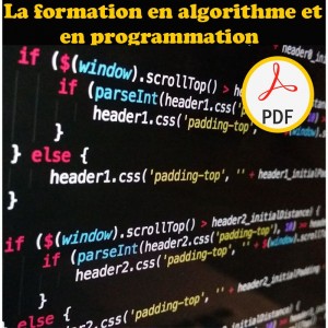  Format PDF : La formation en algorithme et en programmation