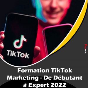 2 Heures De Cours : Formation TikTok Marketing - De Débutant à Expert 2022