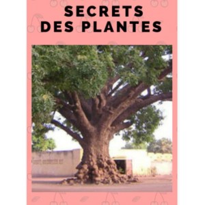 Les Secrets des plantes