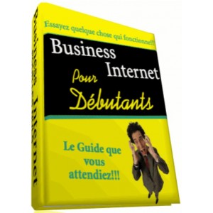 Business Internet Pour Débutants