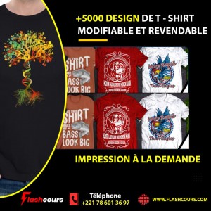 5000 designs de t-shirts modifiables et revendables